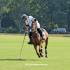 Memphis Polo: Dr. Atkinson Memorial Tournament